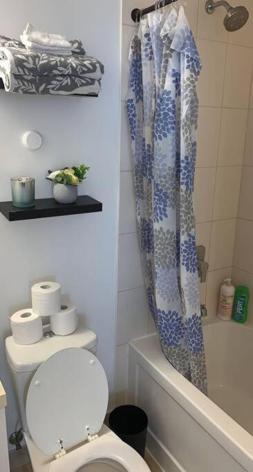 Comfort Two Beds Suite By Cn Tower Rogers Centre Plus Free Parking Toronto Exteriér fotografie